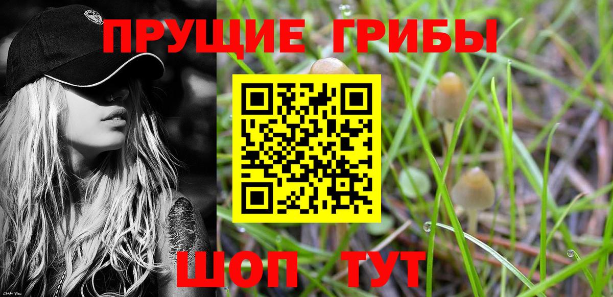 Галлюциногенные грибы Magic Shrooms Нижний Тагил