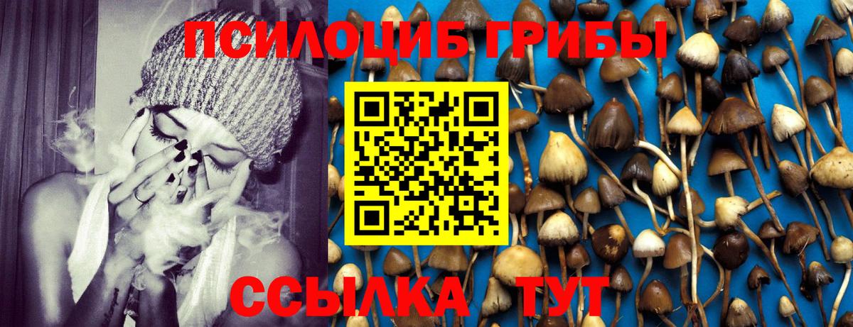Нижний Тагил  Галлюциногенные грибы мухоморы  Вход с VPN 